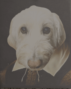 Belle The Dog dressed as Shakespeare
